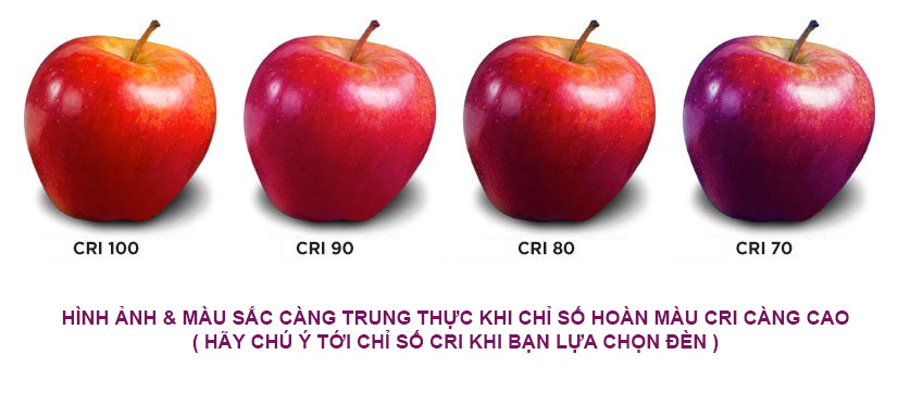 chi-so-hoan-mau